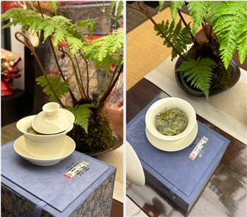 霍州窑白瓷 